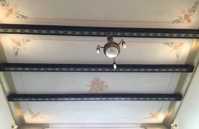 Villa storica in vendita Strzelin, Kazanów 21, Bassa Slesia, Foto 9/35