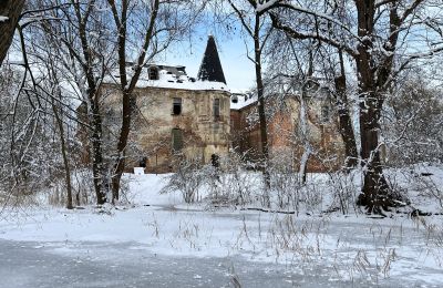 Castello in vendita Komorowice, Wrocławska 27, Bassa Slesia, Foto 27/36