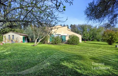 Casa rurale in vendita Castagneto Carducci, Toscana:  RIF 3057 Haus und Terrasse