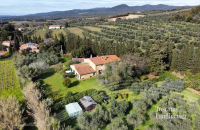 Casa rurale in vendita Castagneto Carducci, Toscana:  RIF 3057 Blick auf Anwesen und Umgebung