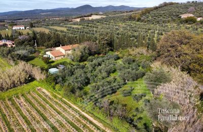 Casa rurale in vendita Castagneto Carducci, Toscana:  RIf 3057 Anwesen und Olivenbäume