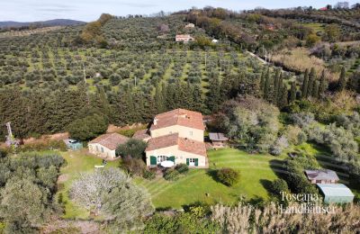 Casa rurale in vendita Castagneto Carducci, Toscana:  RIF 3057 Haus und Oliven