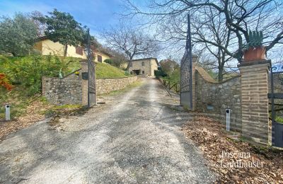 Casale in vendita Marciano della Chiana, Toscana:  RIF 3055 Zufahrtstor