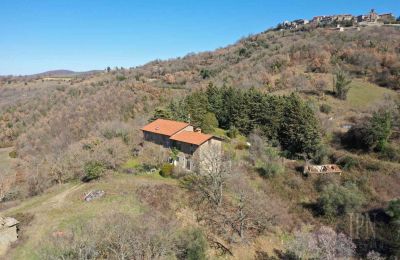 Casa di campagna in vendita 06019 Preggio, Umbria, Foto 6/30