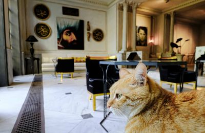 Villa storica in vendita İstanbul, Tom Tom, Nur-i Ziya Sokak, , Foto 6/33