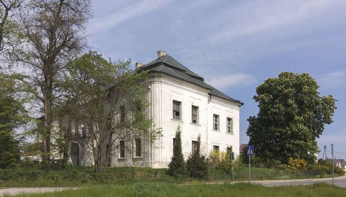Castello in vendita Pisarzowice, Opole,  Polonia