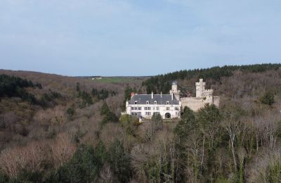 Castello in vendita Veauce, Auvergne-Rhône-Alpes, Posizione dell'immobile