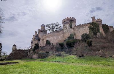 Castello in vendita Veauce, Auvergne-Rhône-Alpes, Foto 3/10