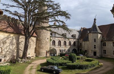 Castello in vendita Veauce, Auvergne-Rhône-Alpes, Foto 4/10