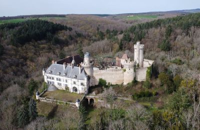Castello in vendita Veauce, Auvergne-Rhône-Alpes, Foto con drone