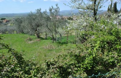 Casale in vendita Siena, Toscana:  RIF 3071 Garten