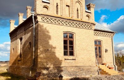 Villa storica in vendita Chmielniki, Kujavie-Pomerania, widok z tyłu