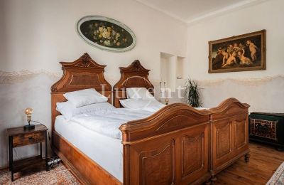 Castello in vendita České Budějovice, Jihočeský kraj, Foto 16/45