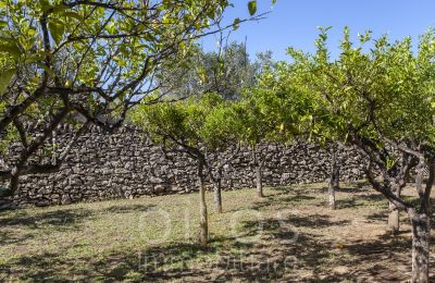 Villa storica in vendita Oria, Puglia, Foto 16/34