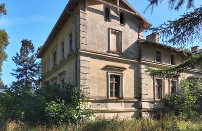 Castello in vendita Stradzewo, Pałac w Stradzewie, Pomerania Occidentale, Vista laterale