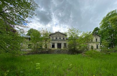 Palazzo in vendita Stradzewo, Pałac w Stradzewie, województwo zachodniopomorskie:  