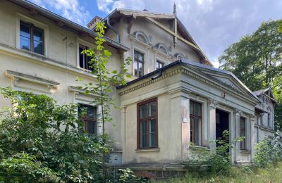 Castello in vendita Stradzewo, Pałac w Stradzewie, Pomerania Occidentale, Ingresso