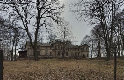 Castello in vendita Stradzewo, Pałac w Stradzewie, Pomerania Occidentale, Parco