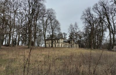 Castello in vendita Stradzewo, Pałac w Stradzewie, Pomerania Occidentale, Parco