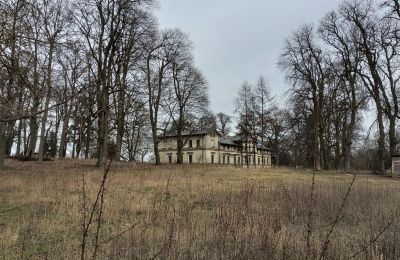 Palazzo in vendita Stradzewo, Pałac w Stradzewie, województwo zachodniopomorskie:  Parco