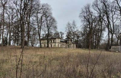 Palazzo in vendita Stradzewo, Pałac w Stradzewie, województwo zachodniopomorskie:  