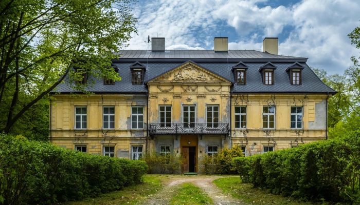 Castello in vendita Nakło, Slesia,  Polonia
