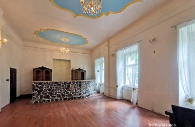 Castello in vendita Opava, Moravskoslezský kraj, Sala da ballo
