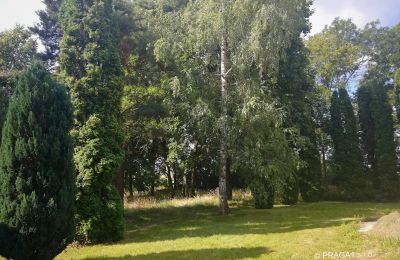 Castello in vendita Opava, Moravskoslezský kraj, Parco