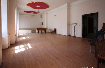 Castello in vendita Opava, Moravskoslezský kraj, Sala da ballo
