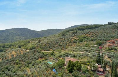 Casa rurale in vendita Loro Ciuffenna, Toscana:  RIF 3098 Anwesen und Umgebung