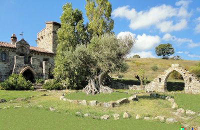 Castello in vendita 06059 Todi, Umbria:  