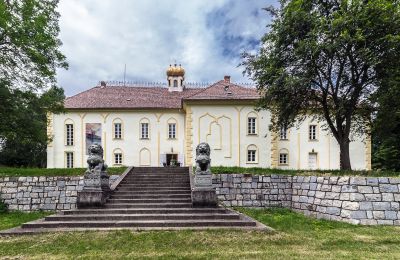 Castello in vendita Szombathely, Contea di Vas, Vista posteriore