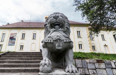 Castello in vendita Szombathely, Contea di Vas, Foto 3/21
