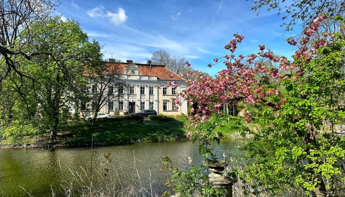 Castello in vendita Gola, Grande Polonia