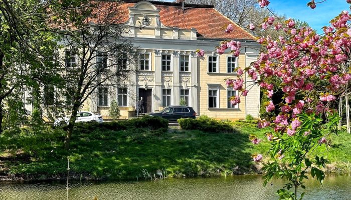 Castello in vendita Gola, Grande Polonia,  Polonia