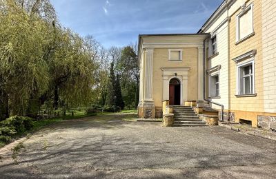 Castello in vendita Gola, Grande Polonia, Foto 42/42