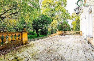 Castello in vendita Gola, Grande Polonia, Foto 38/42