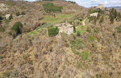 Castello medievale in vendita 06026 Pietralunga, Umbria, Proprietà
