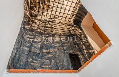 Castello medievale in vendita Třebotov, Třebotov tvrz, Středočeský kraj, Foto 22/36