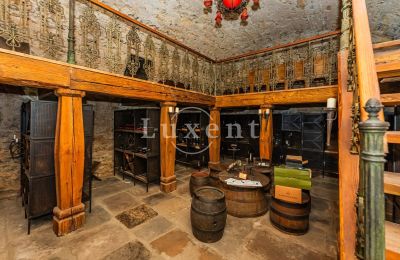 Castello medievale in vendita Třebotov, Třebotov tvrz, Středočeský kraj, Foto 30/36