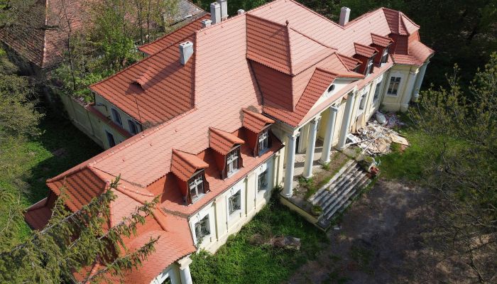 Castello in vendita Skoraszewice, Grande Polonia,  Polonia
