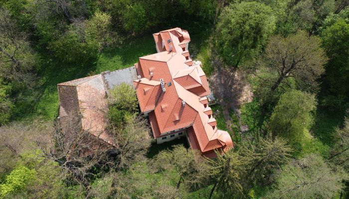  Skoraszewice 3