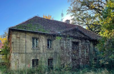 Castello in vendita Skoraszewice, Skoraszewice  16, Grande Polonia, Foto 8/8