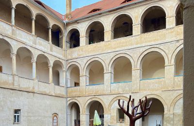 Castello in vendita Štětí, Ústecký kraj, Cortile
