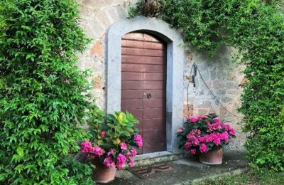Villa storica in vendita Lazio, Ingresso