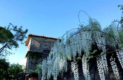 Villa storica in vendita Lazio, Torre