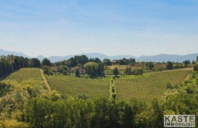 Villa storica in vendita Piemonte, Foto 15/16