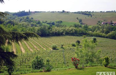 Villa storica in vendita Piemonte, Foto 12/16
