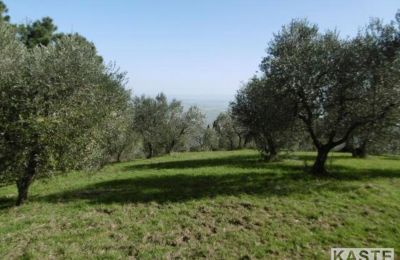 Casa di campagna in vendita Rivalto, Toscana, Foto 8/15