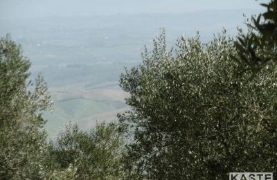 Casa di campagna in vendita Rivalto, Toscana, Foto 10/15